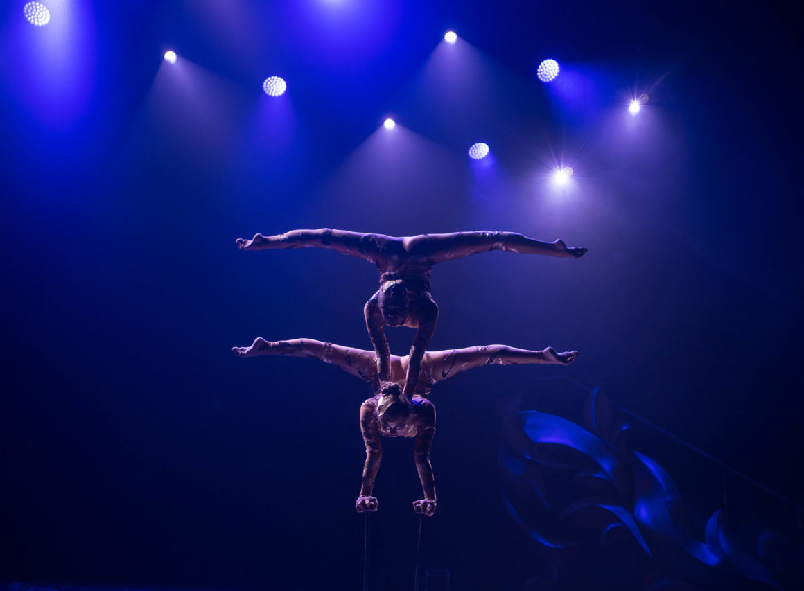 CONTEMPORARY CIRCUS